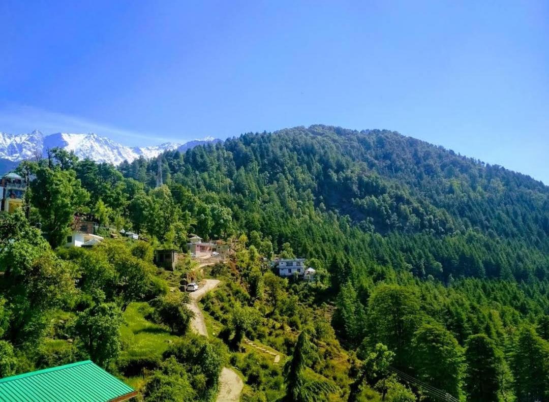 The Lake Cottage By Vrb Hotels Mcleodganj ダラムシャーラー エクステリア 写真